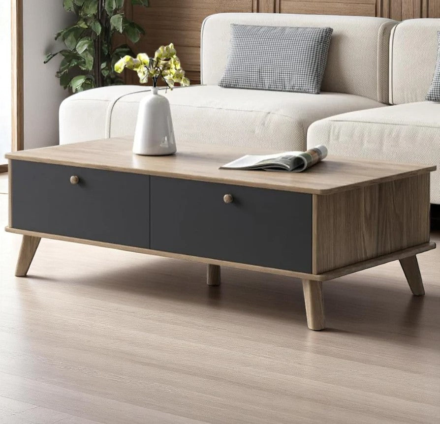 CT_14 coffee table 100*50*40